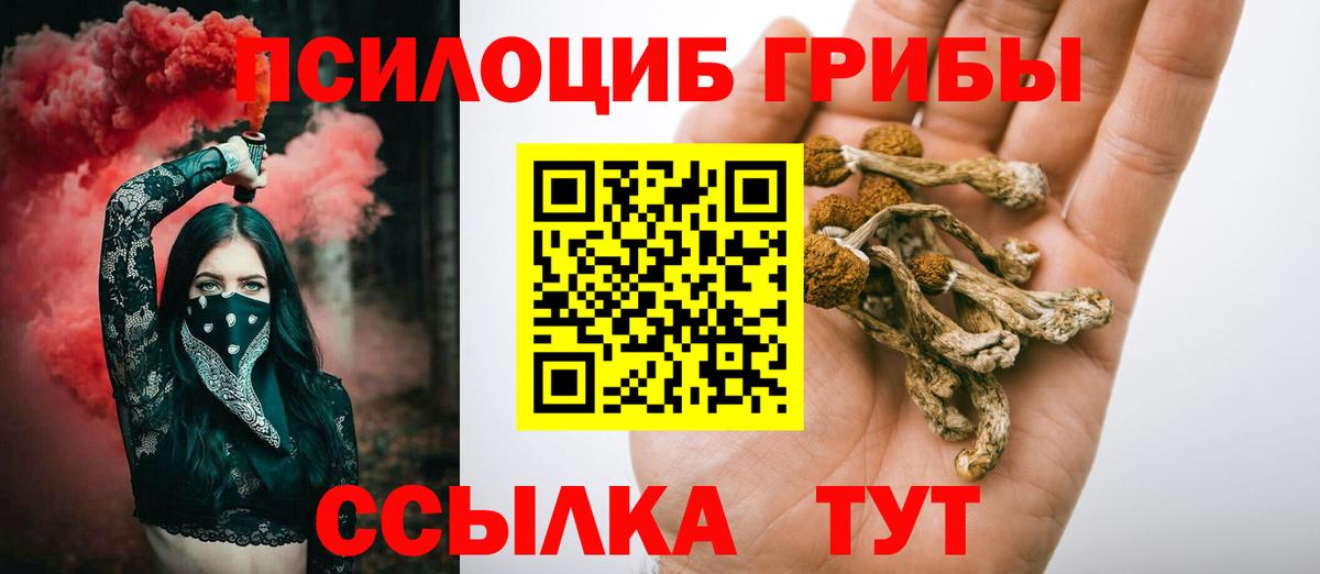 Псилоцибиновые грибы прущие грибы Киреевск